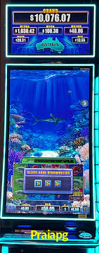 A Experiência Imersiva dos Cassinos Ao Vivo no Praiapg